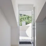 아파트 Luxus Santa Catarina